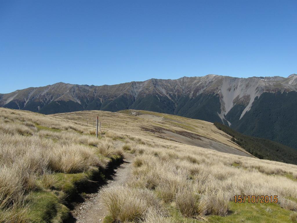 Wairau Pass B&B Сент-Арнод Экстерьер фото